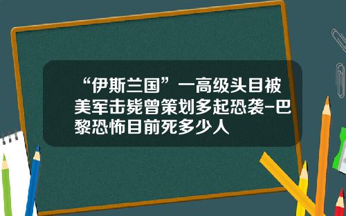 “伊斯兰国”一高级头目被美军击毙曾策划多起恐袭-巴黎恐怖目前死多少人