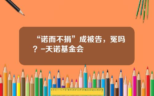 “诺而不捐”成被告，冤吗？-天诺基金会