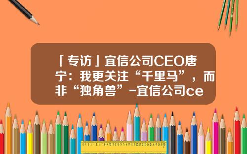 「专访」宜信公司CEO唐宁：我更关注“千里马”，而非“独角兽”-宜信公司ceo唐宁