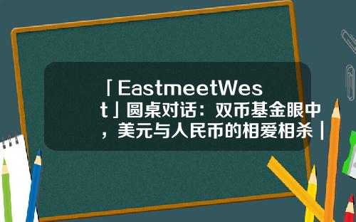「EastmeetWest」圆桌对话：双币基金眼中，美元与人民币的相爱相杀｜2022中国基金合伙人未来峰会-赛富投资基金