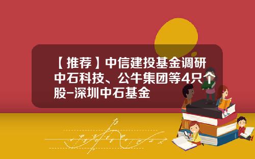 【推荐】中信建投基金调研中石科技、公牛集团等4只个股-深圳中石基金