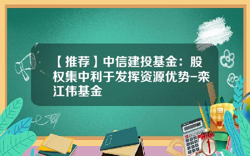 【推荐】中信建投基金：股权集中利于发挥资源优势-栾江伟基金