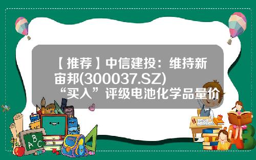 【推荐】中信建投：维持新宙邦(300037.SZ)“买入”评级电池化学品量价齐升单季业绩创历史新高-南通宙邦高纯化学品有限公司网站