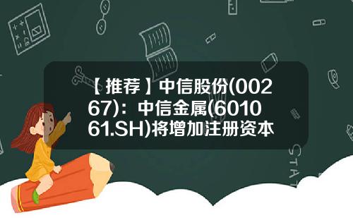 【推荐】中信股份(00267)：中信金属(601061.SH)将增加注册资本、变更公司类型、修订《公司章程》并办理工商变更登记-公司上市注册资本会增加吗