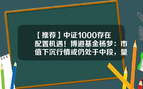 【推荐】中证1000存在配置机遇！博道基金杨梦：市值下沉行情或仍处于中段，量化选股具备宽度优势-基金当前市值
