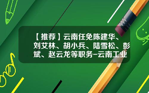 【推荐】云南任免陈建华、刘艾林、胡小兵、陆雪松、彭斌、赵云龙等职务-云南工业投资控股集团有限公司