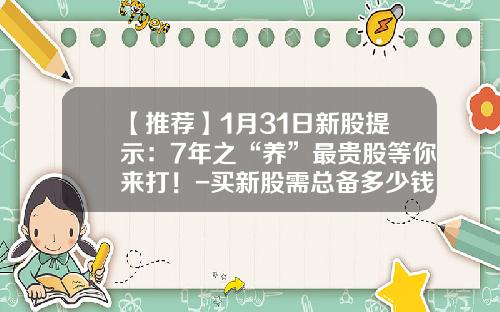 【推荐】1月31日新股提示：7年之“养”最贵股等你来打！-买新股需总备多少钱