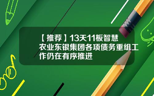 【推荐】13天11板智慧农业东银集团各项债务重组工作仍在有序推进