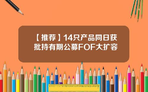 【推荐】14只产品同日获批持有期公募FOF大扩容