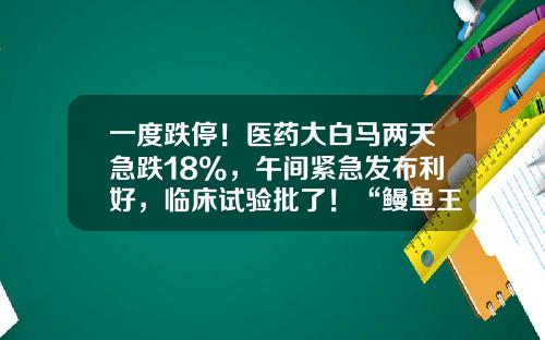 一度跌停！医药大白马两天急跌18%，午间紧急发布利好，临床试验批了！“鳗鱼王”涨停，业绩增长的农牧概念股出炉-股票午间资讯