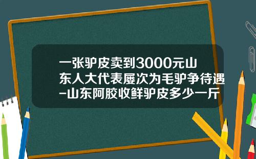 一张驴皮卖到3000元山东人大代表屡次为毛驴争待遇-山东阿胶收鲜驴皮多少一斤