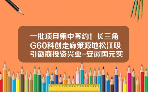 一批项目集中签约！长三角G60科创走廊策源地松江吸引徽商投资兴业-安徽国元实业投资有限责任公司