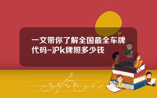 一文带你了解全国最全车牌代码-沪k牌照多少钱