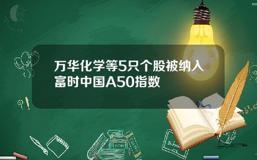 万华化学等5只个股被纳入富时中国A50指数