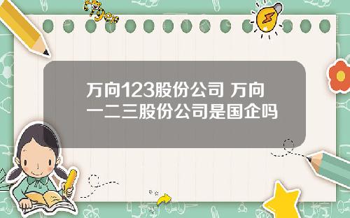 万向123股份公司 万向一二三股份公司是国企吗