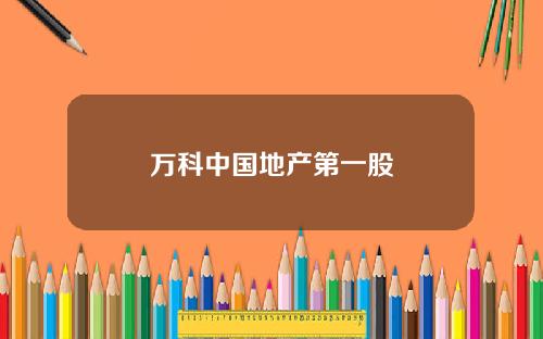 万科中国地产第一股