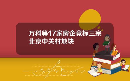 万科等17家房企竞标三宗北京中关村地块