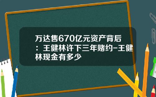 万达售670亿元资产背后：王健林许下三年赌约-王健林现金有多少