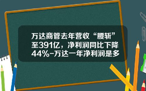 万达商管去年营收“腰斩”至391亿，净利润同比下降44%-万达一年净利润是多少