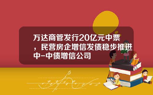 万达商管发行20亿元中票，民营房企增信发债稳步推进中-中债增信公司