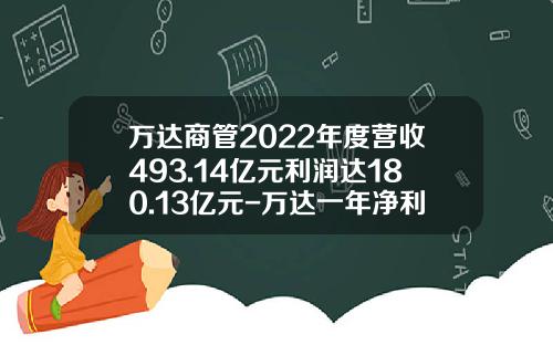 万达商管2022年度营收493.14亿元利润达180.13亿元-万达一年净利润是多少