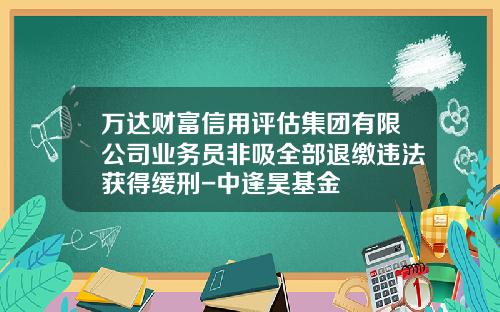 万达财富信用评估集团有限公司业务员非吸全部退缴违法获得缓刑-中逢昊基金