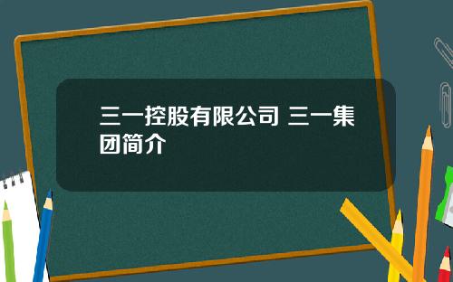 三一控股有限公司 三一集团简介