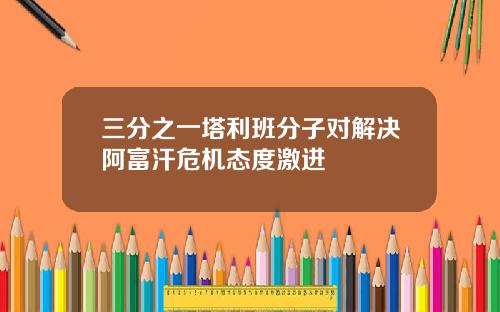 三分之一塔利班分子对解决阿富汗危机态度激进