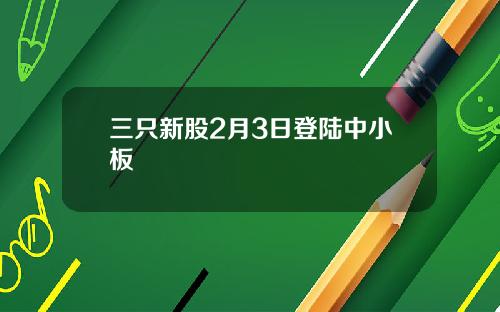 三只新股2月3日登陆中小板