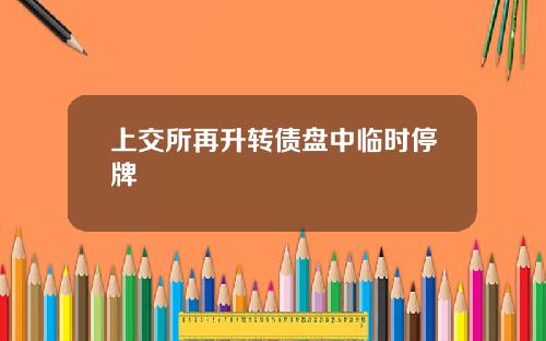 上交所再升转债盘中临时停牌