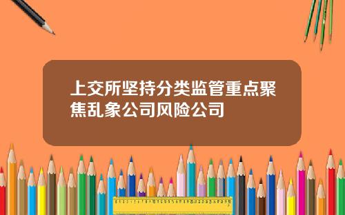 上交所坚持分类监管重点聚焦乱象公司风险公司
