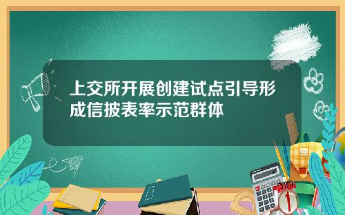 上交所开展创建试点引导形成信披表率示范群体