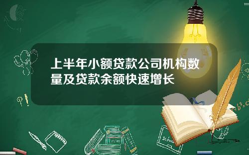 上半年小额贷款公司机构数量及贷款余额快速增长