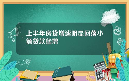 上半年房贷增速明显回落小额贷款猛增