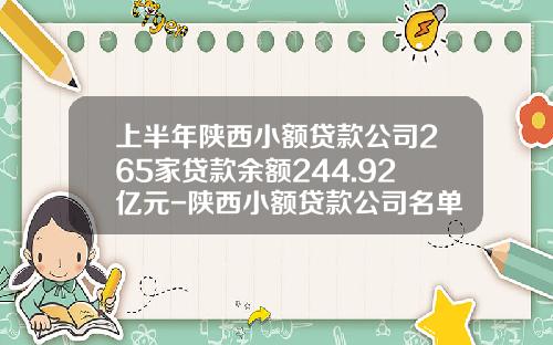 上半年陕西小额贷款公司265家贷款余额244.92亿元-陕西小额贷款公司名单