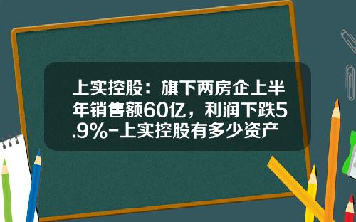 上实控股：旗下两房企上半年销售额60亿，利润下跌5.9%-上实控股有多少资产