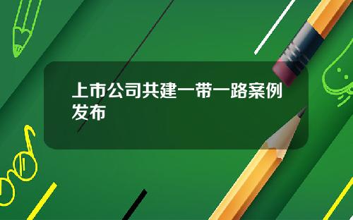 上市公司共建一带一路案例发布