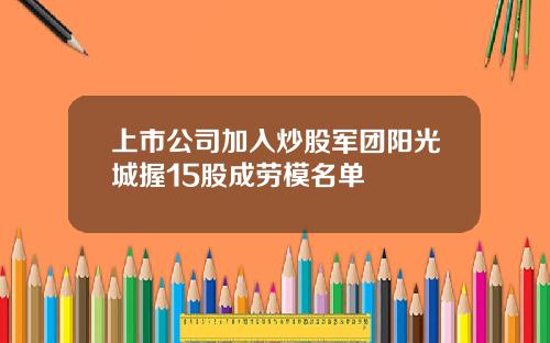 上市公司加入炒股军团阳光城握15股成劳模名单