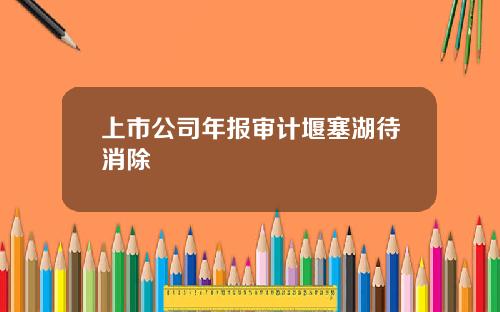 上市公司年报审计堰塞湖待消除