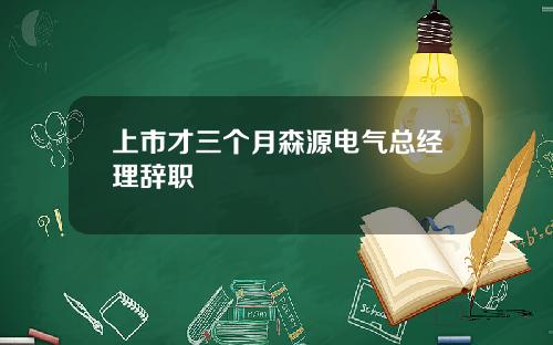 上市才三个月森源电气总经理辞职