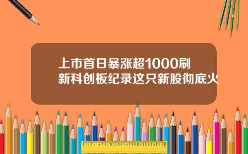 上市首日暴涨超1000刷新科创板纪录这只新股彻底火