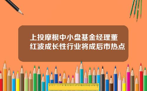 上投摩根中小盘基金经理董红波成长性行业将成后市热点