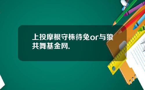 上投摩根守株待兔or与狼共舞基金网.
