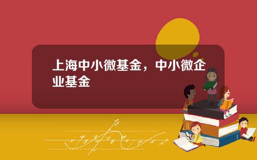 上海中小微基金，中小微企业基金