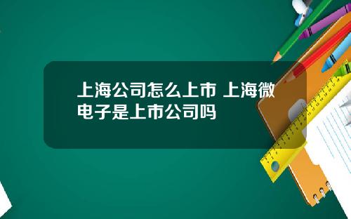上海公司怎么上市 上海微电子是上市公司吗