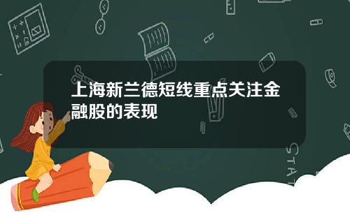 上海新兰德短线重点关注金融股的表现