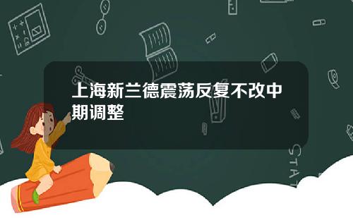 上海新兰德震荡反复不改中期调整