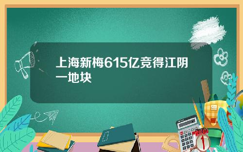上海新梅615亿竞得江阴一地块