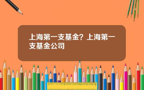 上海第一支基金？上海第一支基金公司