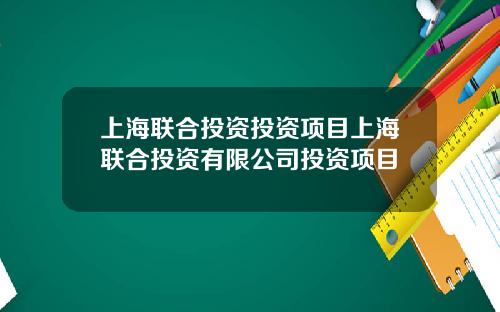 上海联合投资投资项目上海联合投资有限公司投资项目